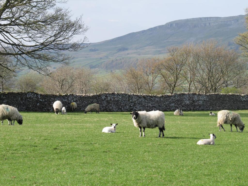Thornton Lodge Aysgarth Kamer foto